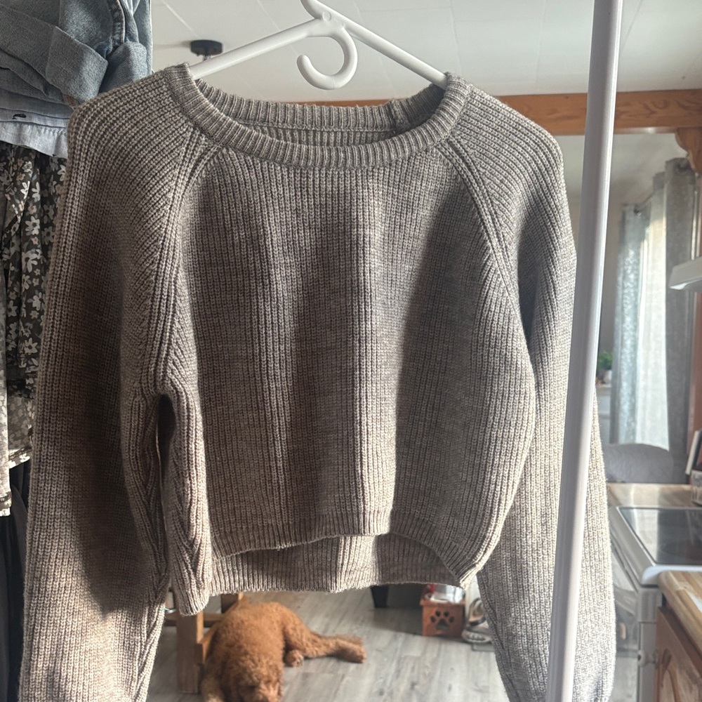 Elegant Tan Women's Crew Neck Sweater